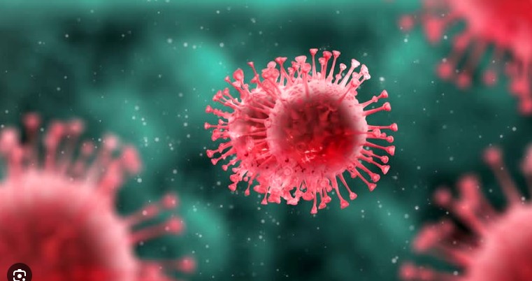 H3N2 flu in Delhi
