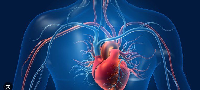 Oral hygiene and heart health