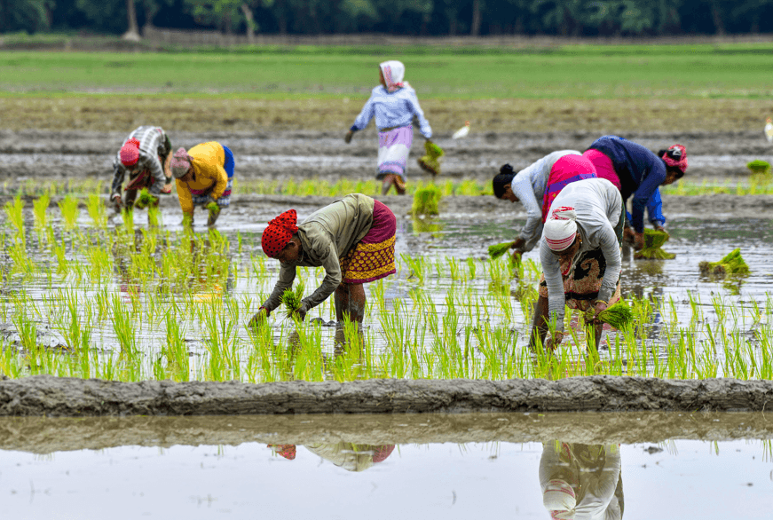 Dhan-Dhaanya Krishi Yojana