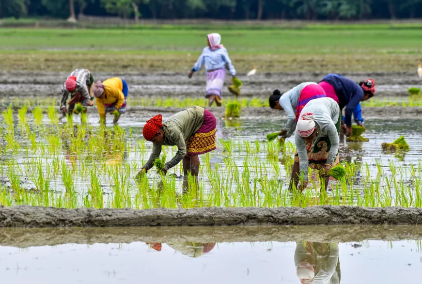 Dhan-Dhaanya Krishi Yojana